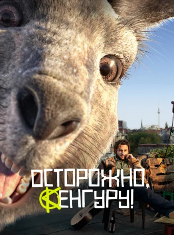 Осторожно, Кенгуру!