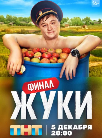 Жуки