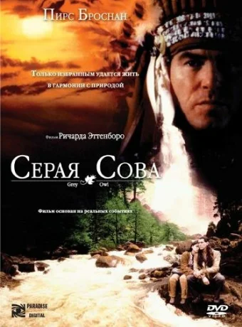 Серая сова