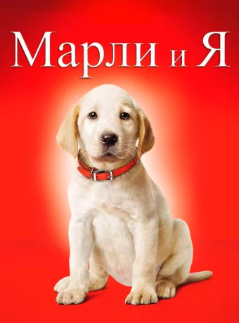 Марли и я