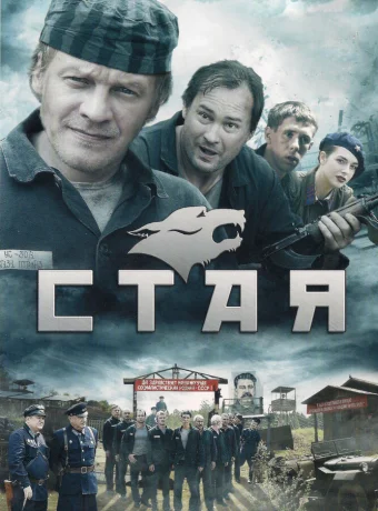 Стая 