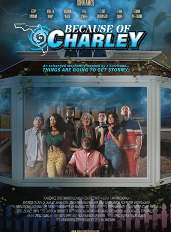 Всё из-за Чарли