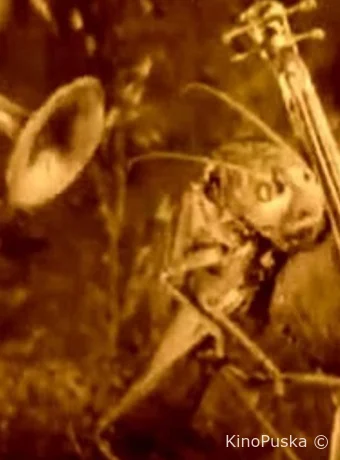 Веселые сценки из жизни животных