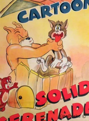 Шумная серенада