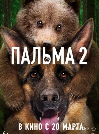 Пальма 2