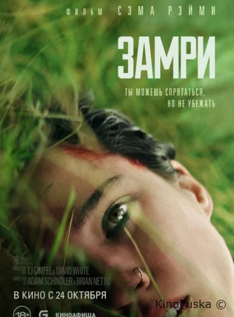 Замри