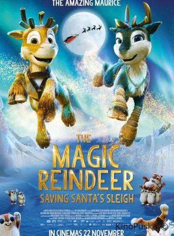 Нико: За Северным сиянием