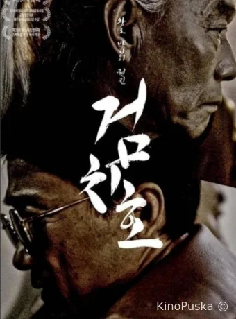 Импульс тигра