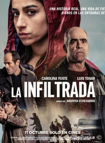 Под прикрытием