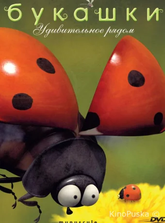 Букашки