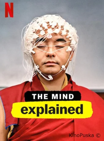 Разум, объяснение