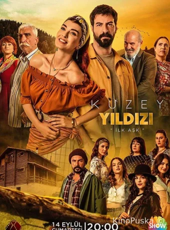 Полярная звезда