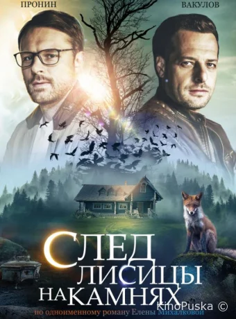 След лисицы на камнях