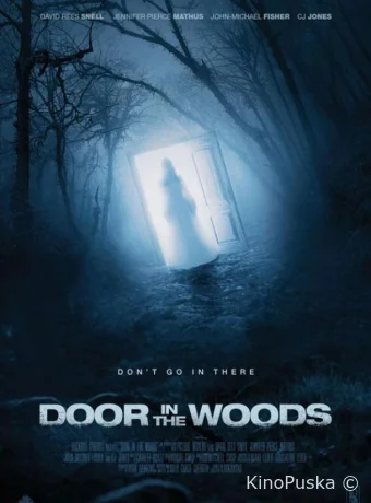 Дверь в лесу