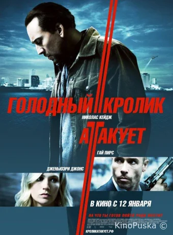 Голодный кролик атакует