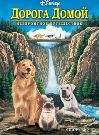 Дорога домой: Невероятное путешествие