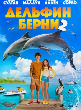 Дельфин Берни 2