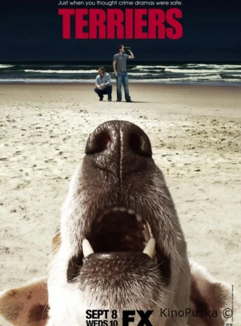 Терьеры