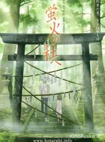 В лес, где мерцают светлячки