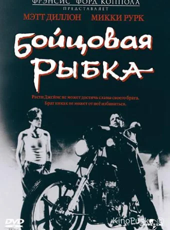 Бойцовая рыбка