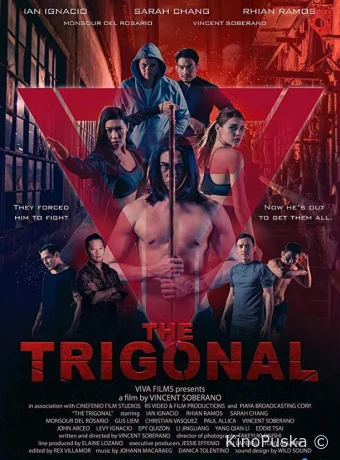 Тригонал: Борьба за справедливость