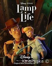 Жизнь лампы