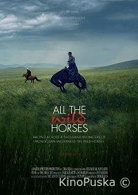 Дикие лошади