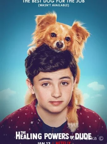 Целебные силы дружка