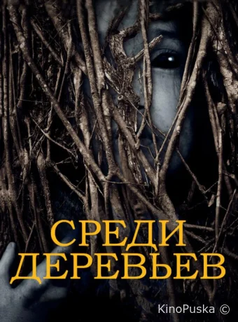 За деревьями