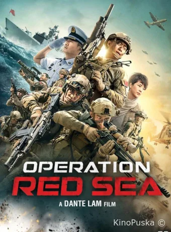 Операция в Красном море