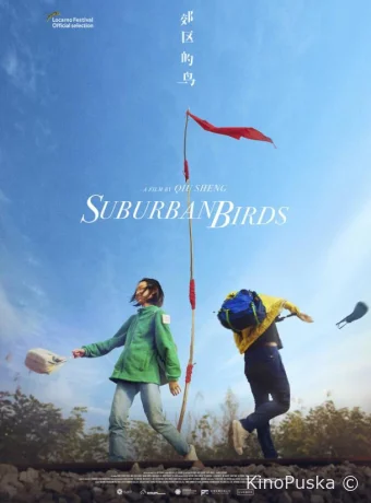 Пригородные птицы