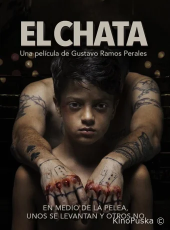 Спарринг-партнер