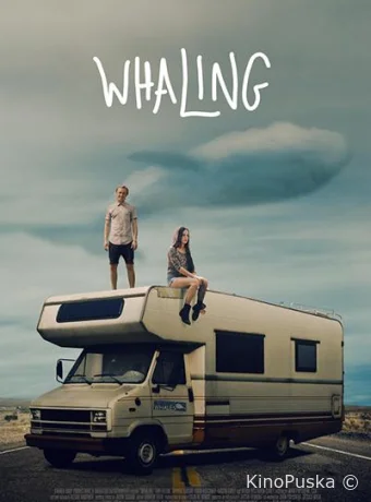 Дорога к китам