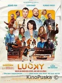 Куш собачий