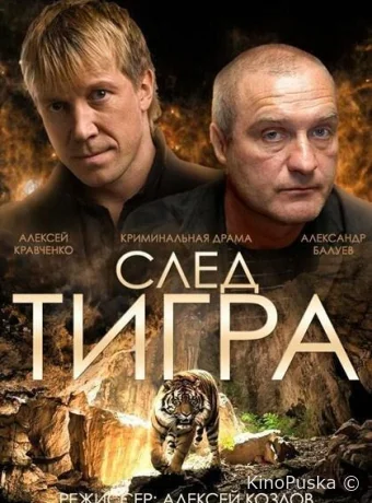 След тигра