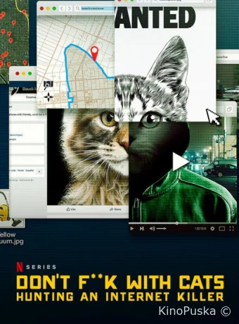 Не троньте котиков: Охота на интернет-убийцу