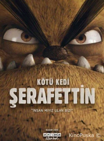 Плохой кот Шерафеттин