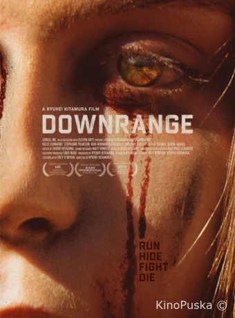 Стрельба по мишеням