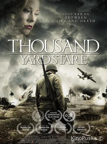 Взгляд на тысячу ярдов