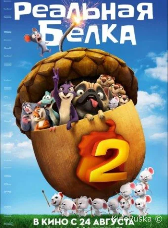 Реальная белка 2