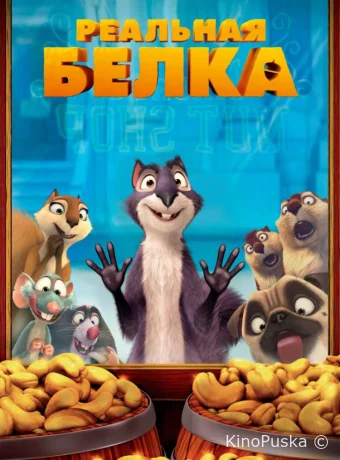 Реальная белка