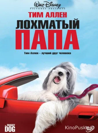 Лохматый папа
