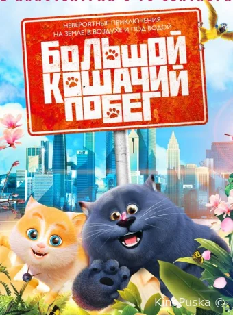 Большой кошачий побег