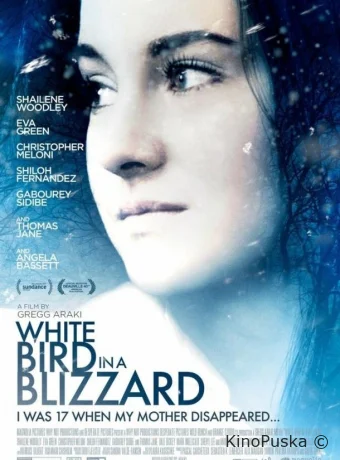 Белая птица в метели