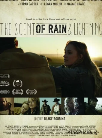 Запах дождя и молнии