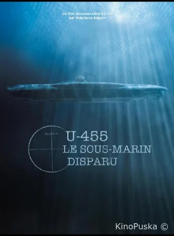 U-455. Тайна пропавшей субмарины