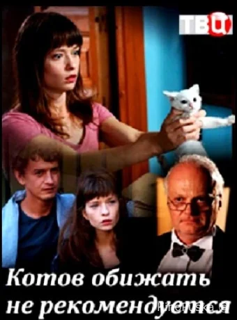 Котов обижать не рекомендуется