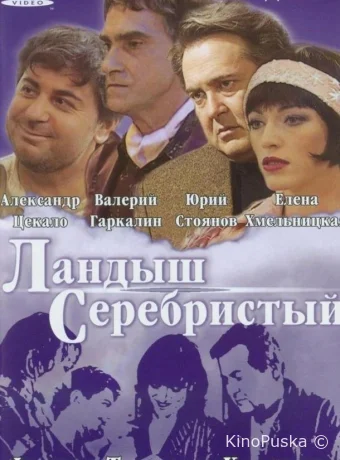 Ландыш серебристый	