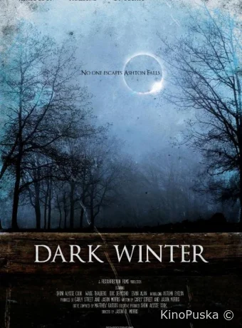 Тёмная зима