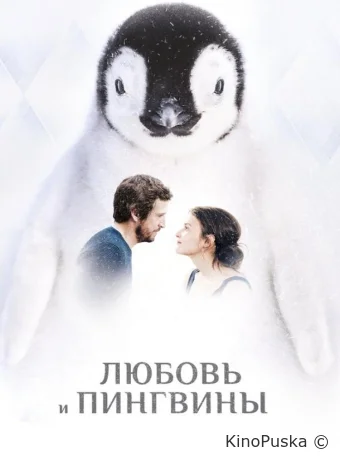 Любовь и пингвины